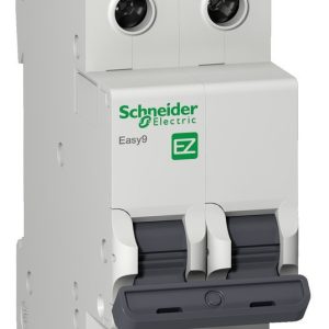 INT TERMOMAG E9 2X10A 4,5KA (EZ9F34210)