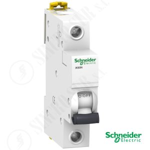 INT TERMOMAG IK60N 1X25A CURV C(A9K24125