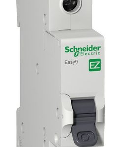 INT TERMOMAG E9 1X20A 4,5KA (EZ9F34120)